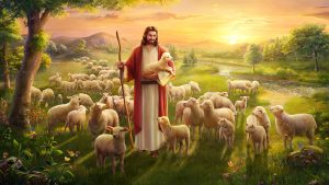 Ảnh công giáo - Chúa chăn chiên