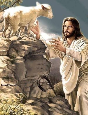 Ảnh công giáo - Chúa chăn chiên (22)