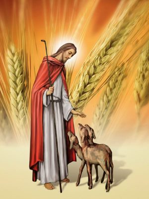 Ảnh công giáo - Chúa chăn chiên (23)