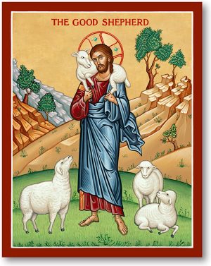 Ảnh công giáo - Chúa chăn chiên (3)
