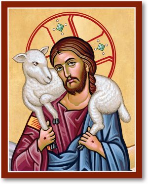 Ảnh công giáo - Chúa chăn chiên (4)